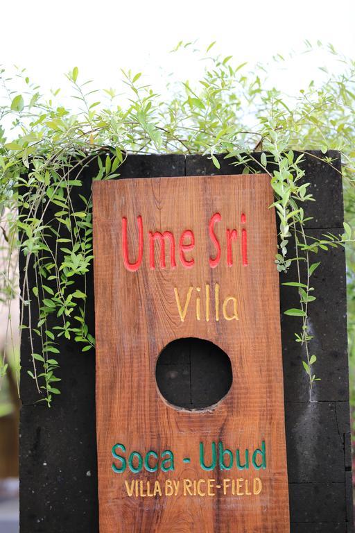 Ume Sri Villas Ubud Kültér fotó